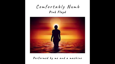 youtube comfortably numb )Comfortably Numb - Kate Bush & David Gilmour 18 January 2002 -- Royal Festival Hall, London - (sorry about poor quality)"Comfortably Numb" is a song on Pink Floyd's eleventh album, The Wall (1979)